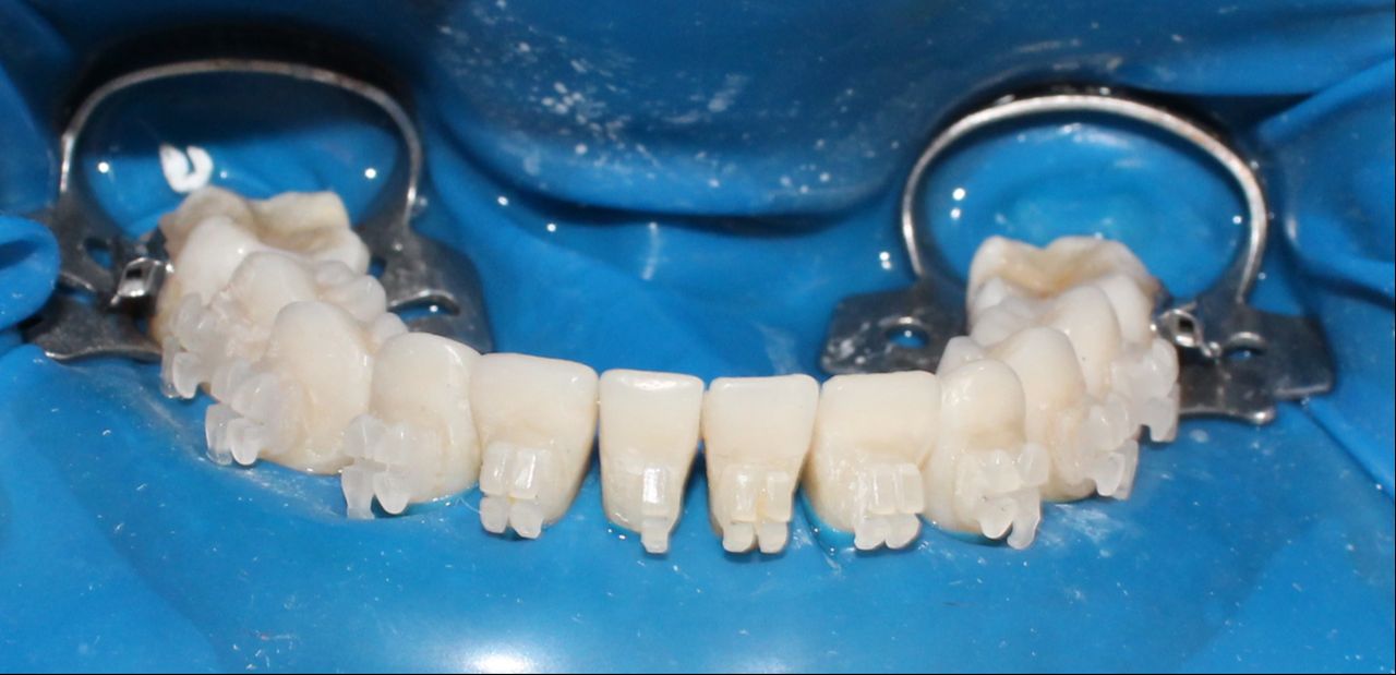 Luisa Fernanda Galvis Arcila-10