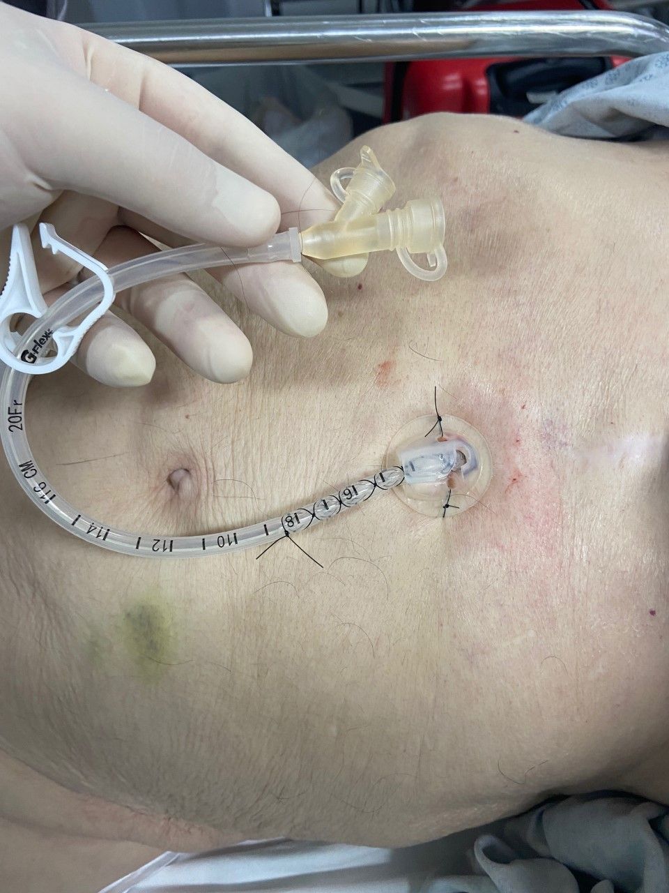 Guilherme Amadeu Poleto-46