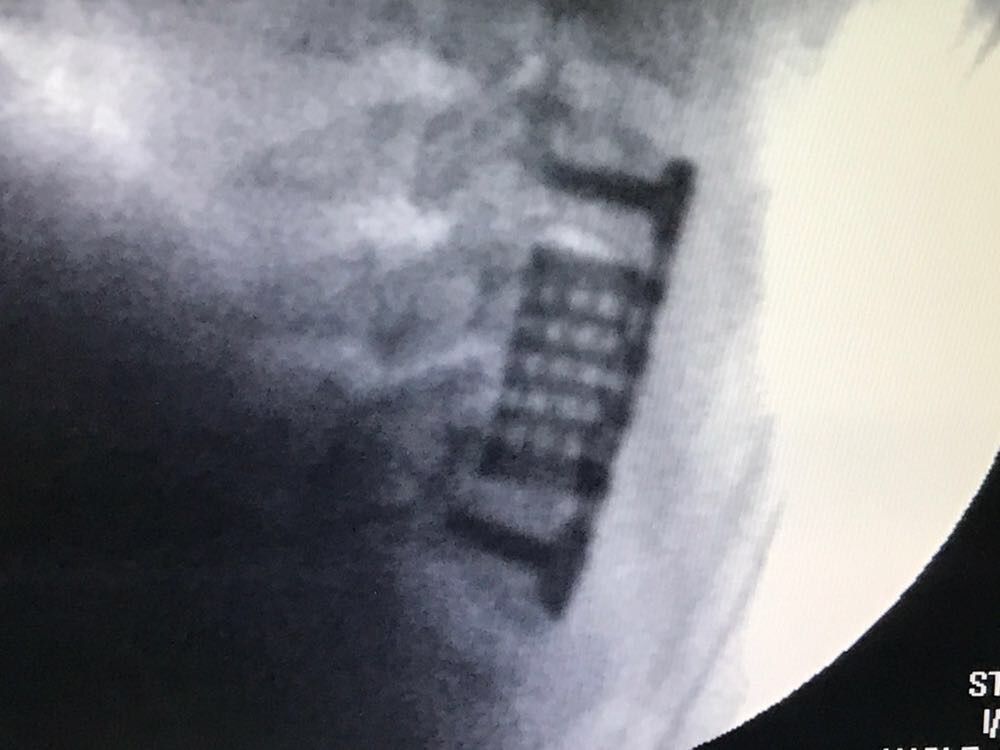 Maxweyd Rodrigues Freire-7