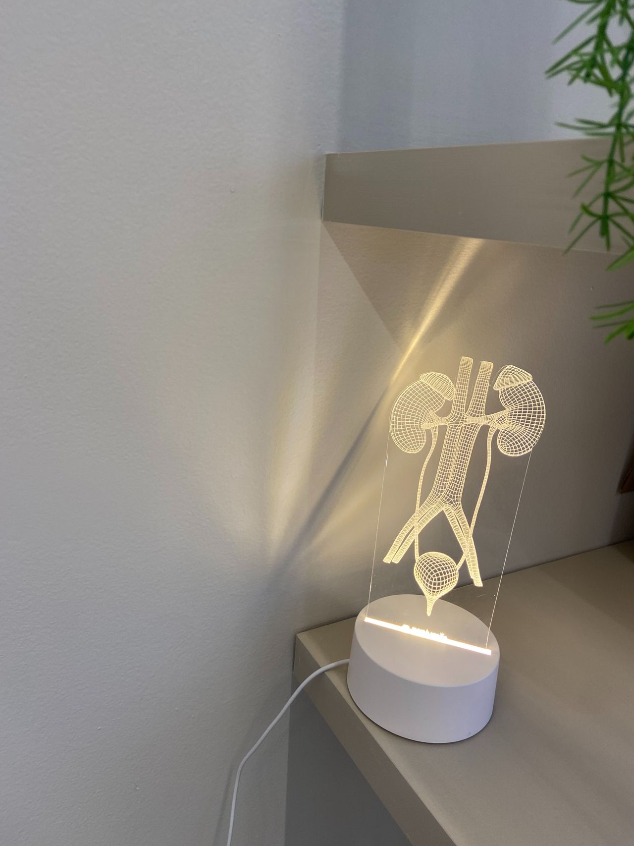 Breno Faria Araújo-0