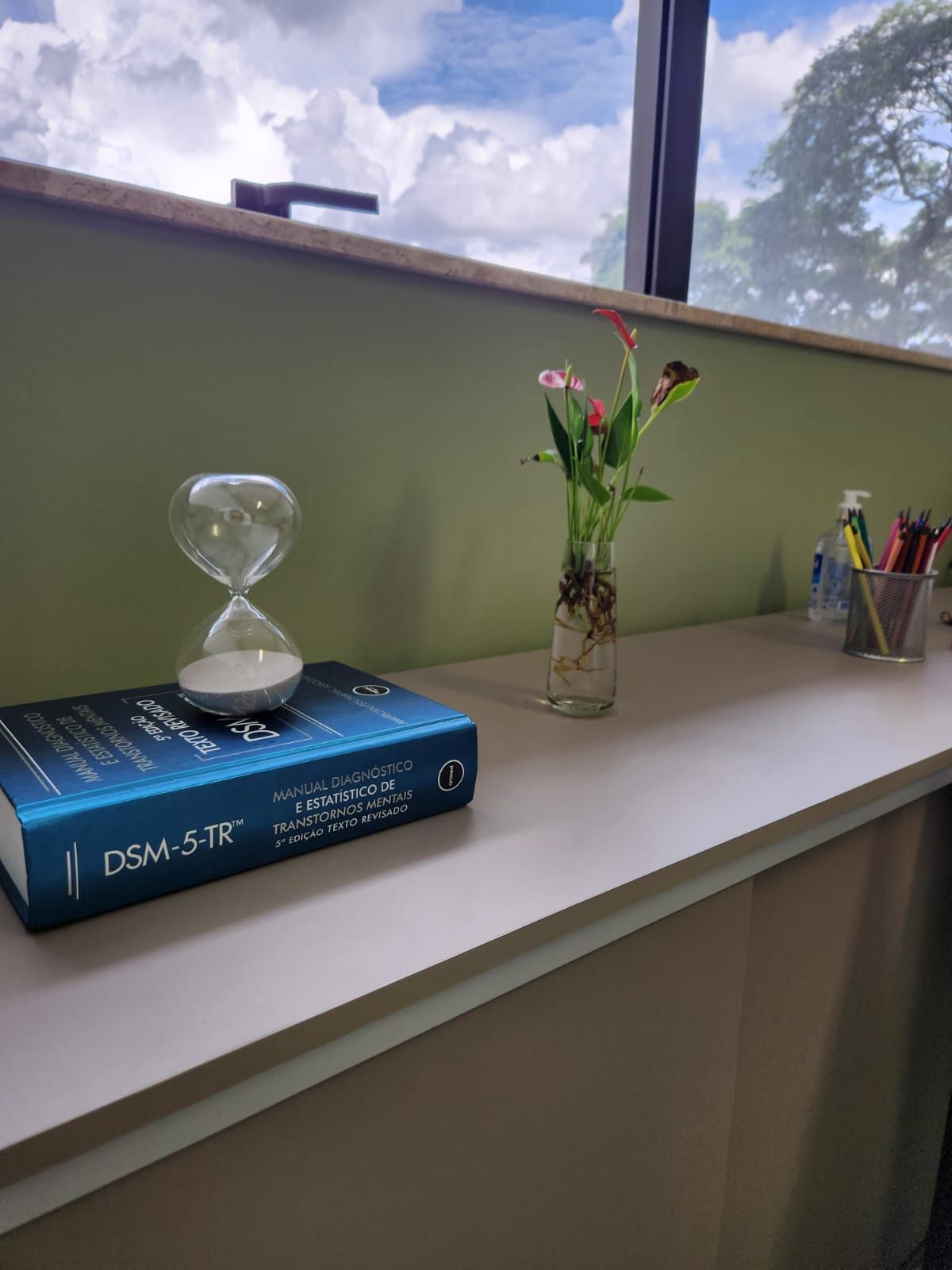 Camila Evangelista Ferreira Lima-1