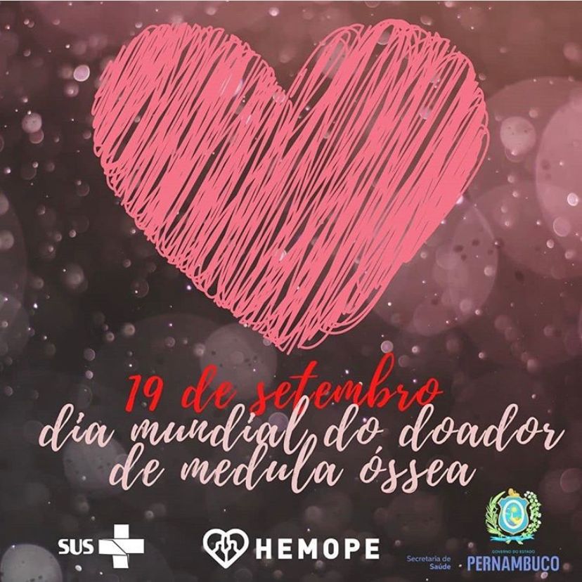 Flávia Andreza Dos Santos Martins-1