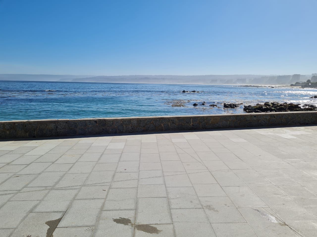 Romy Bravovisch Froimovich-13