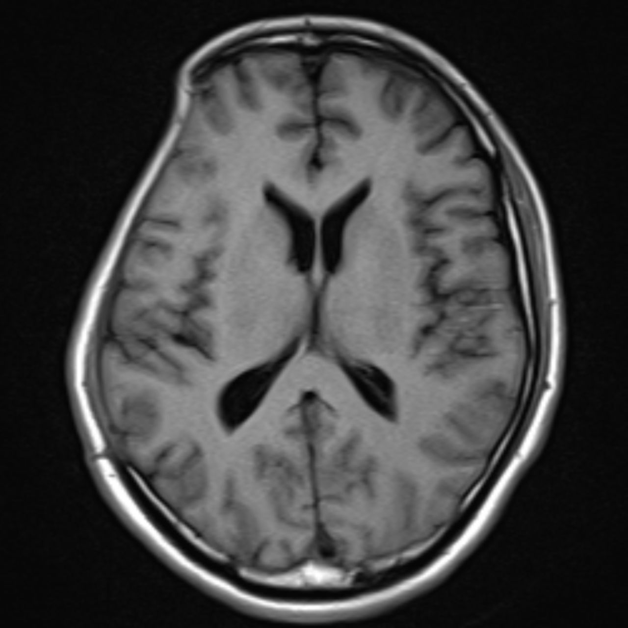 David Tafur Muñoz-1788