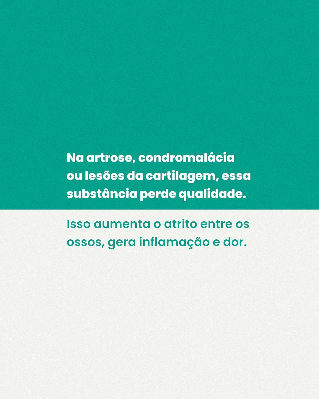 Thales Norões-2