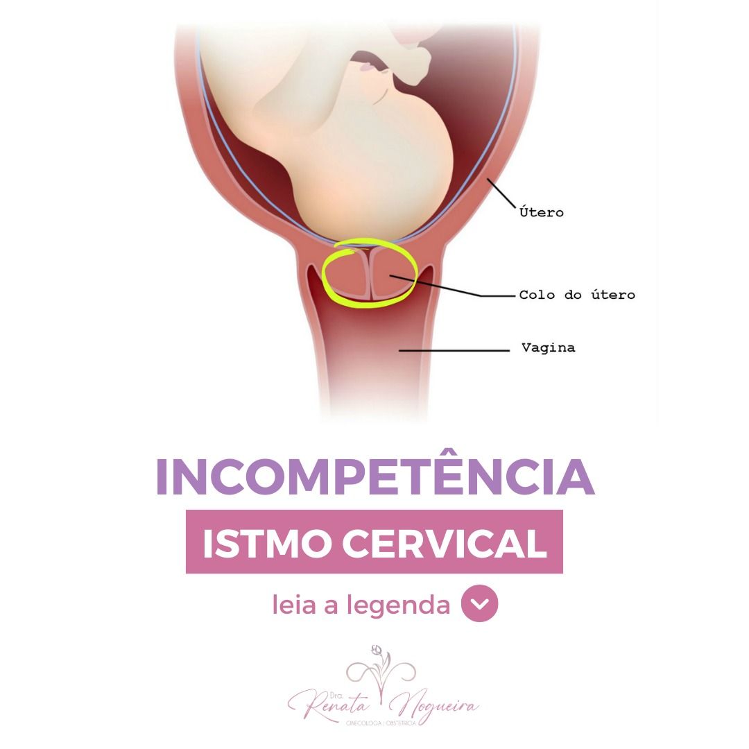 Renata Wanderley Nogueira-8