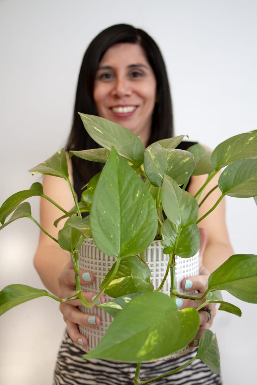 Gloria Santibañez Contreras-16