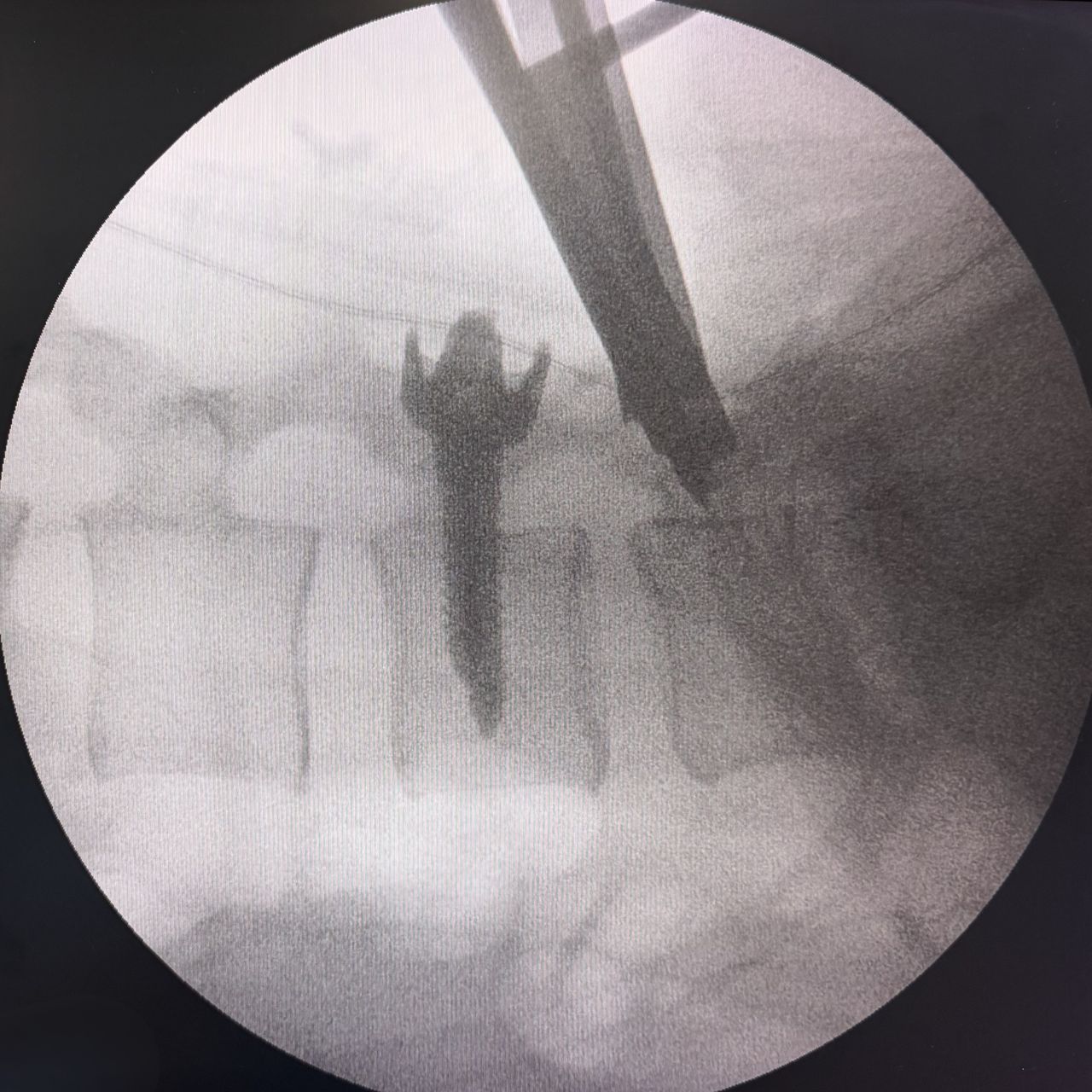 David Tafur Muñoz-2448