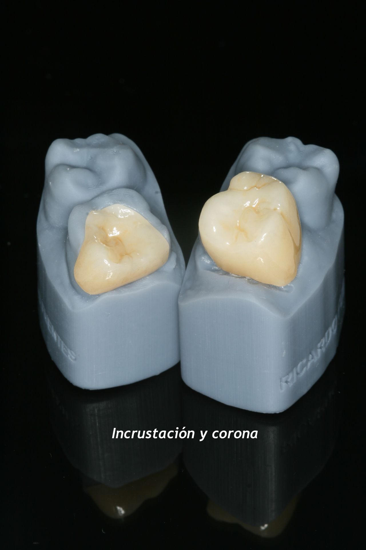 Bruno Sfeir Oyarzún-1