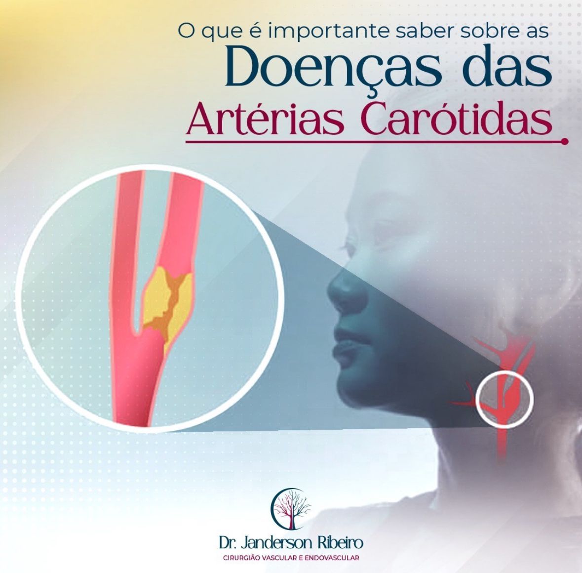 Janderson Ribeiro Fernandes-10