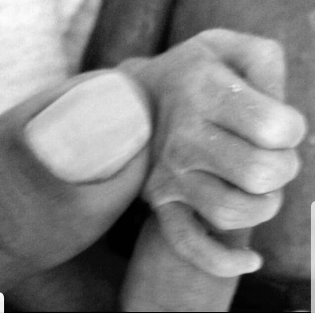 Niele Gonzaga Marques Souza-13