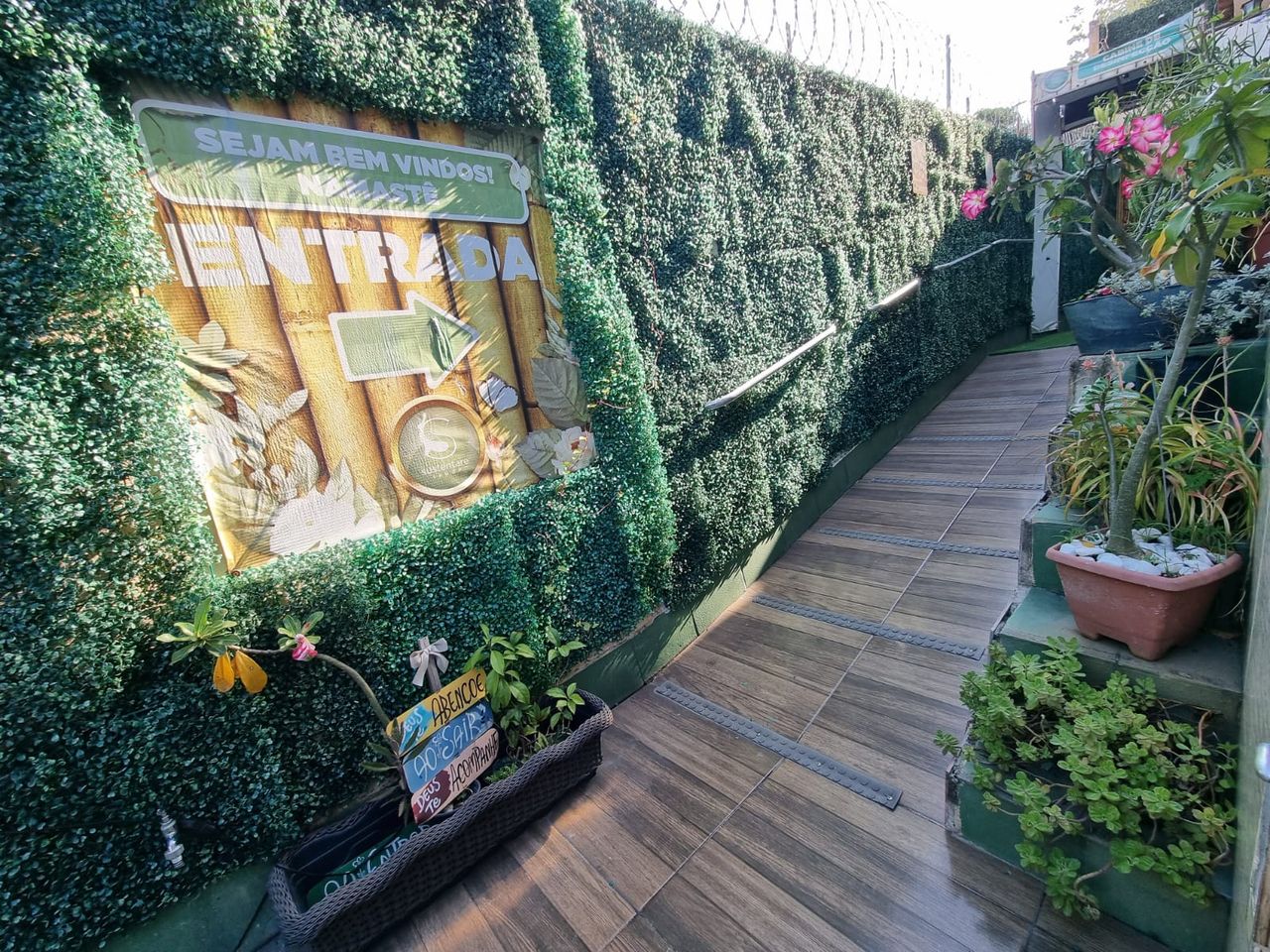 Dayana Brazão Hanemann-51