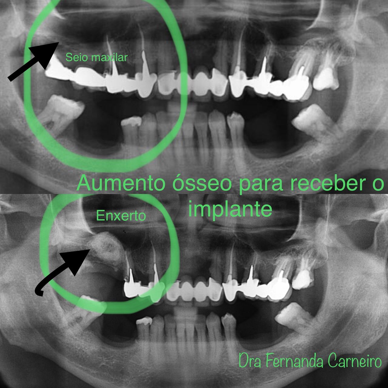 Fernanda Carneiro Pinto-32