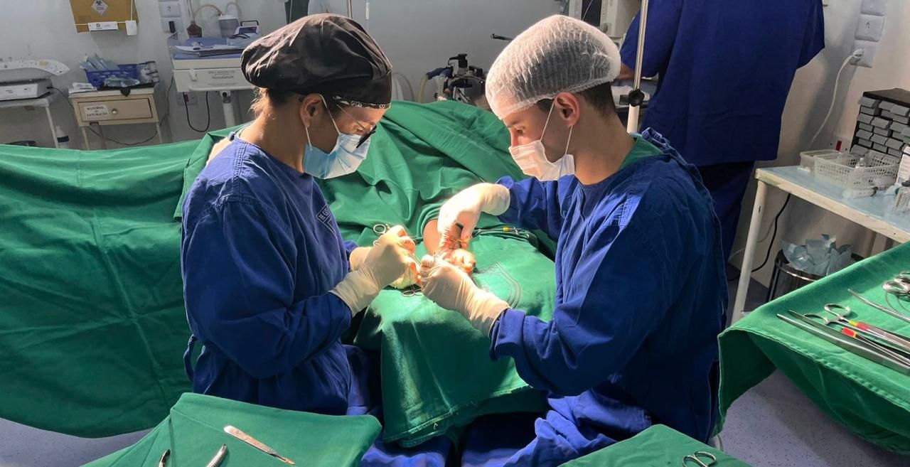 Patricia   Albuquerque-3