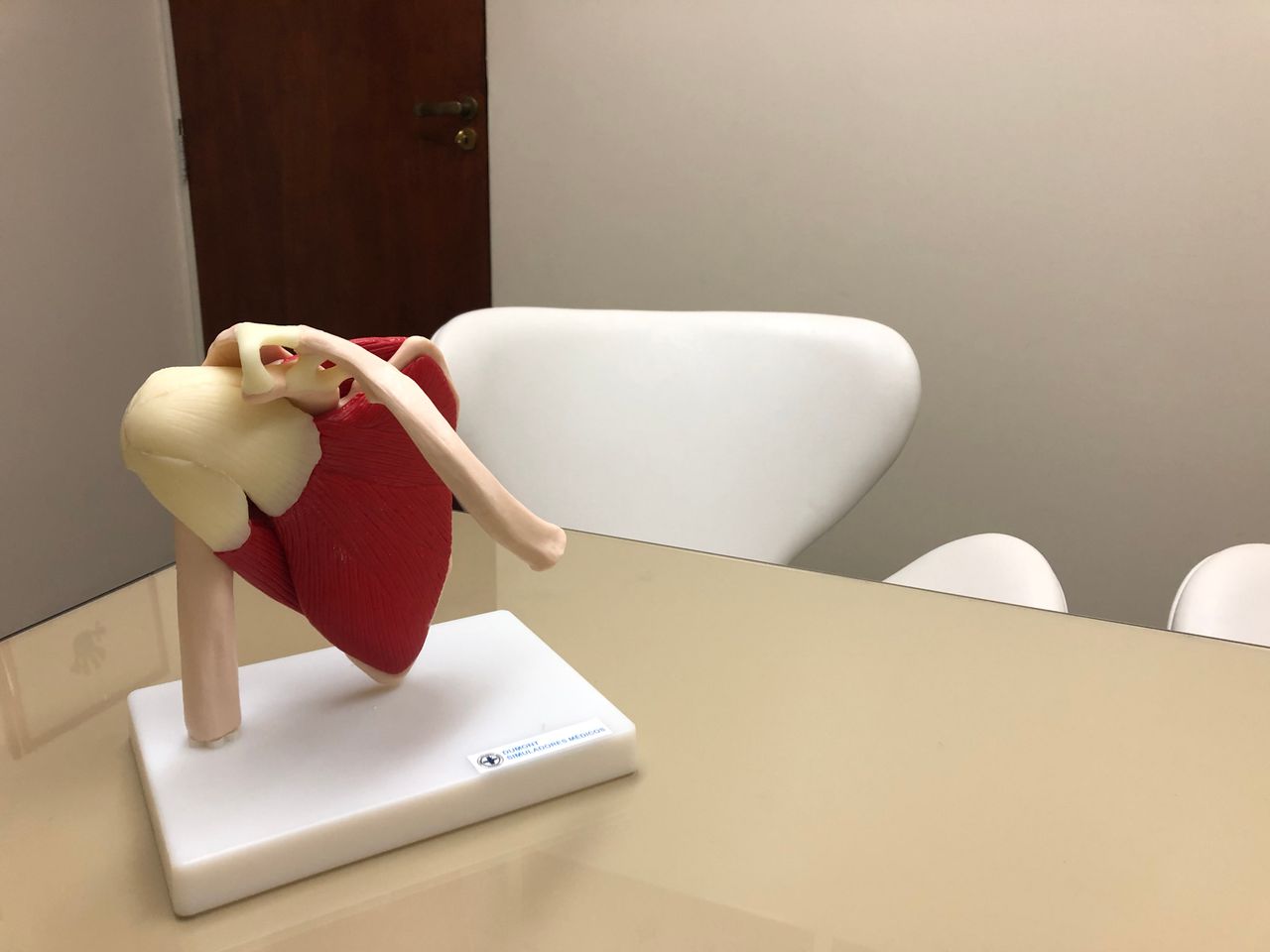 Marcello Barni Saruhashi-0