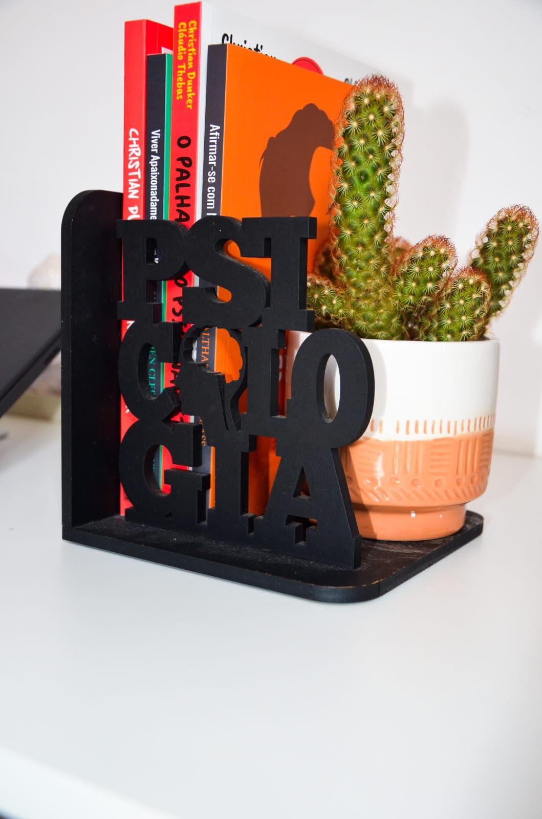 Marina Segantin Surita-1