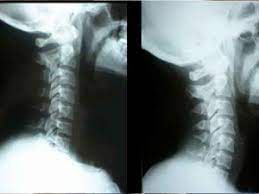 Patricia Viviana Snaiderman-12