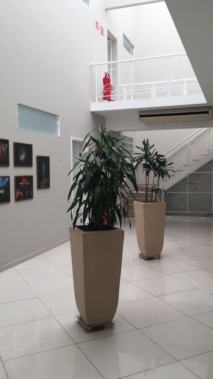 Pedro Augusto N. Vieira-6