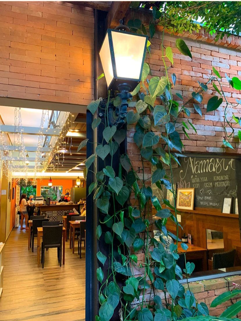 Frederico Guimarães Mendes Filho-2