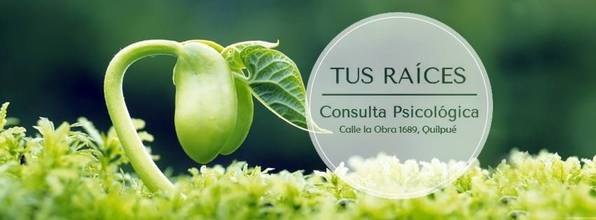 Ignacio Alvear Ponce-6