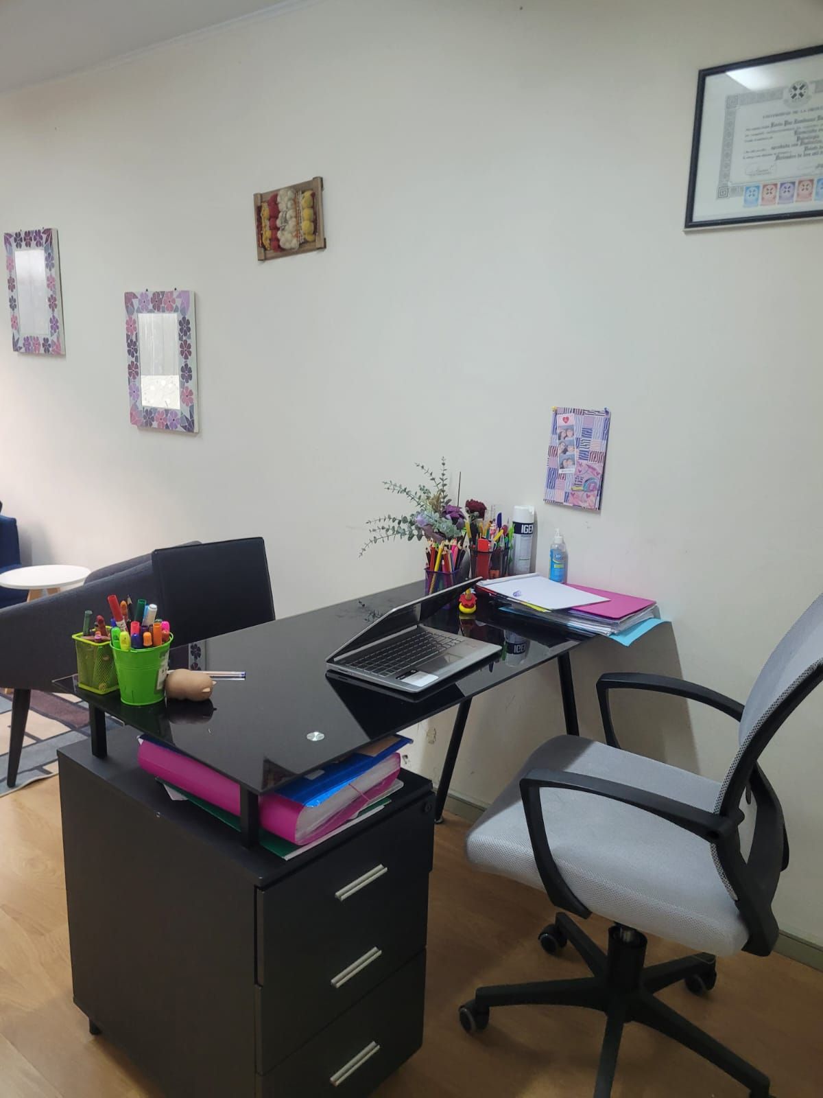 Paula Alvear Yévenes -2