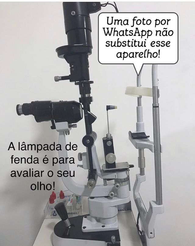 Daniela Erthal Righi Vieira-21