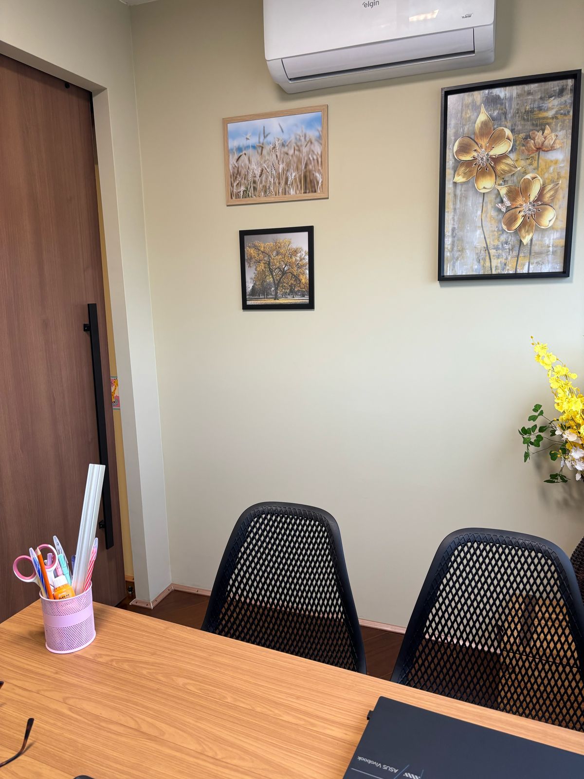 Aline França Rodriguez Loira-10