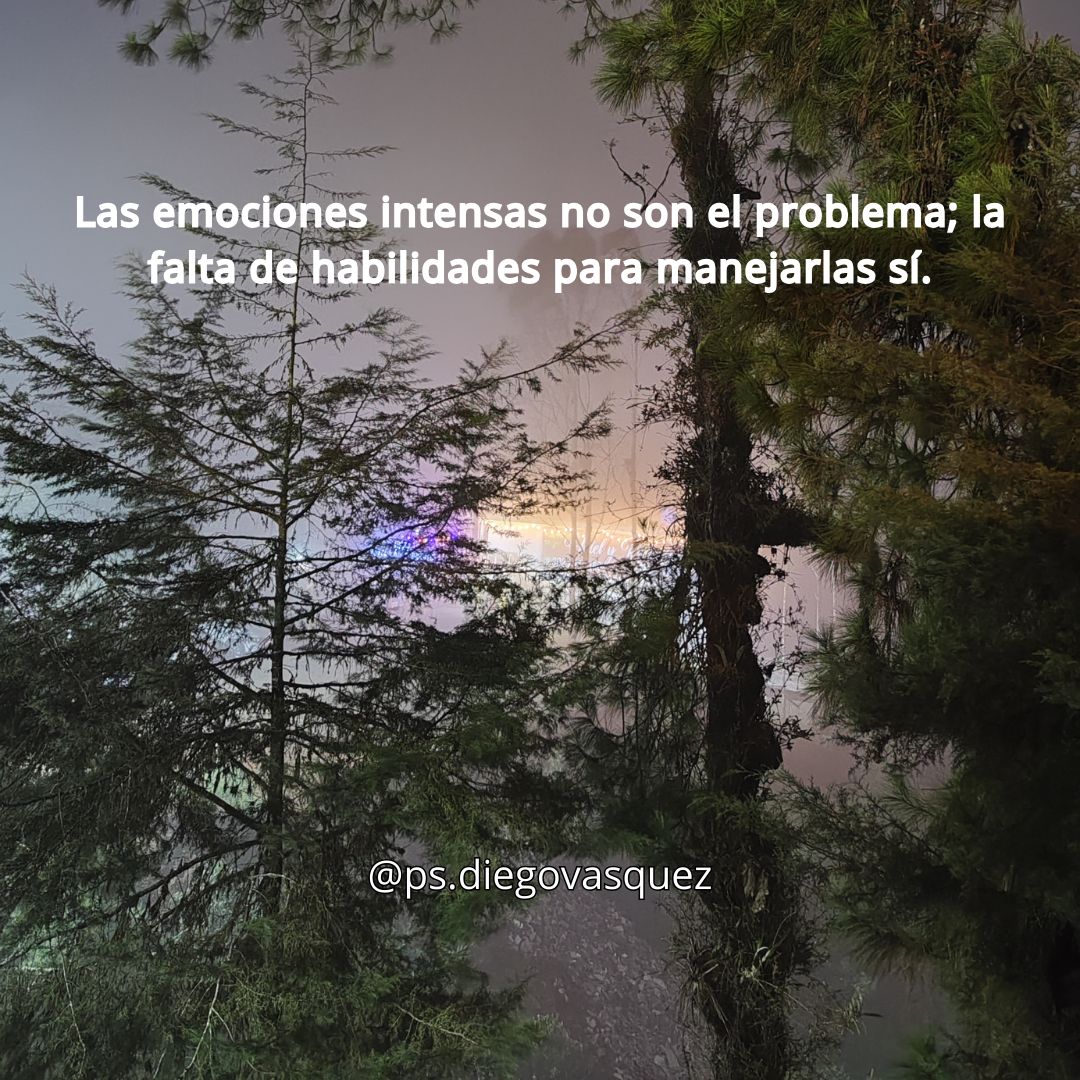 Diego Fernando Vasquez Espinosa-31