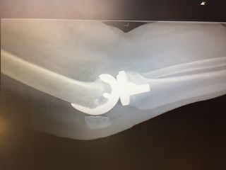 Eduardo Ramalho De Moraes-32