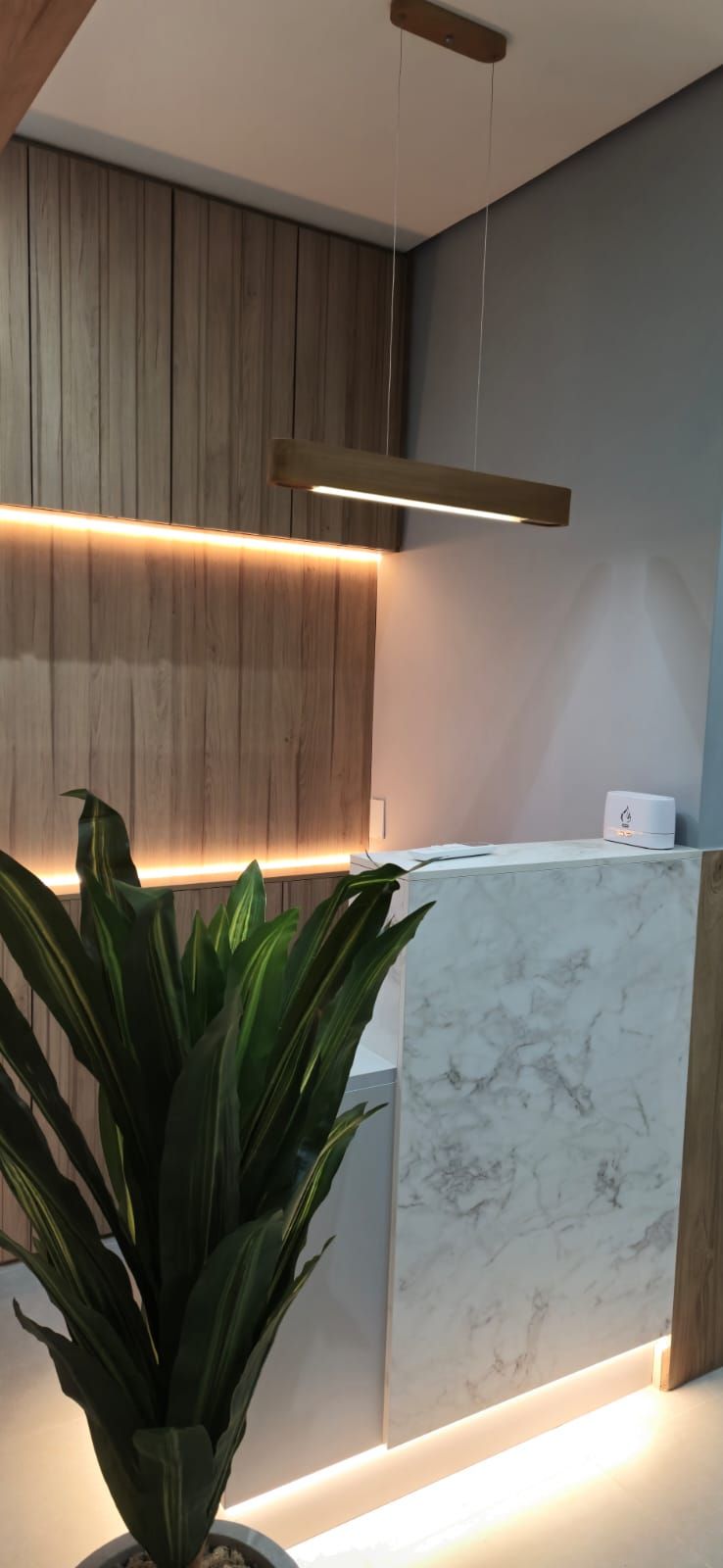 João Felipe Paravidino Alves-1