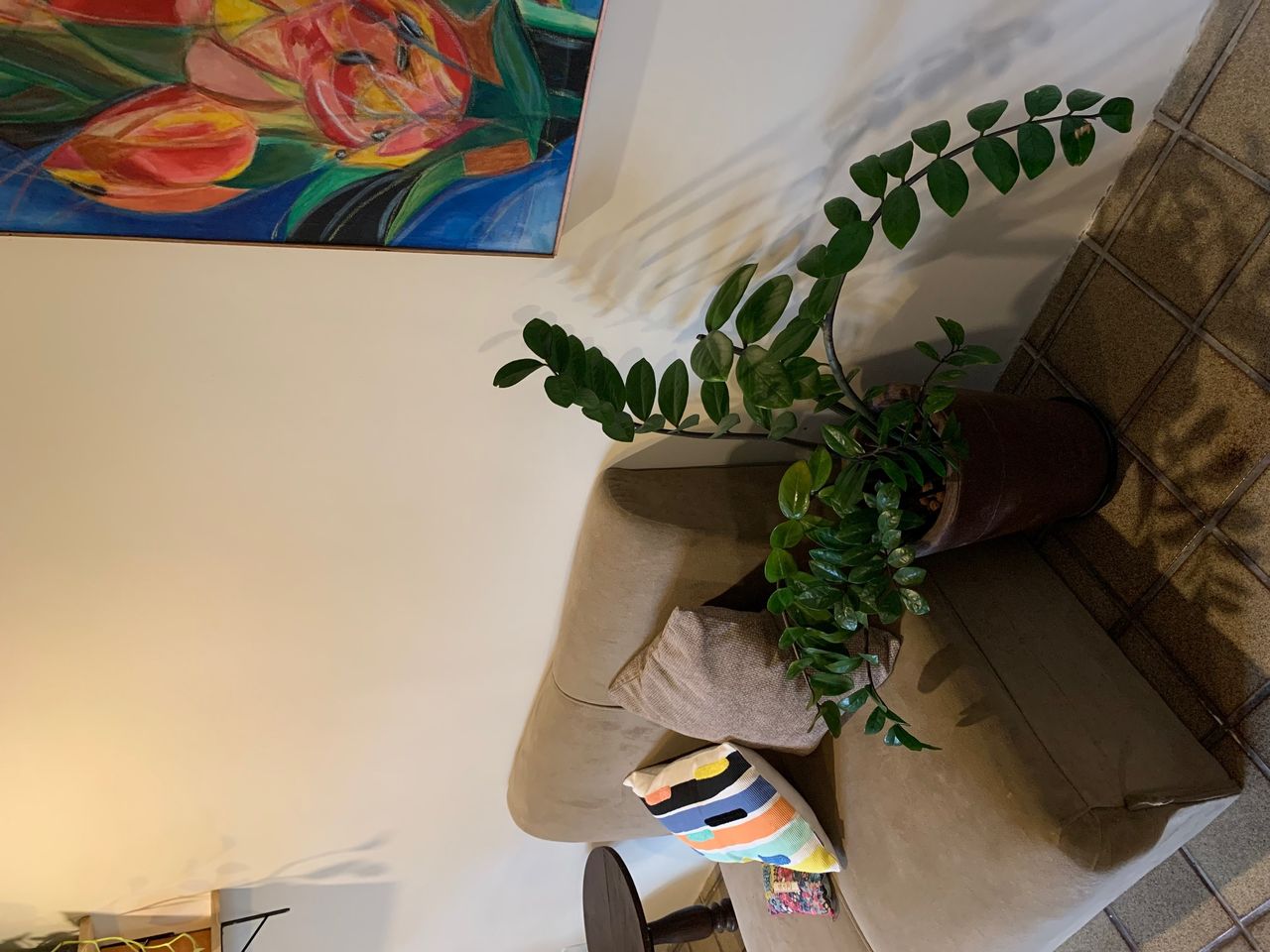 Ana Flavia Santana-4