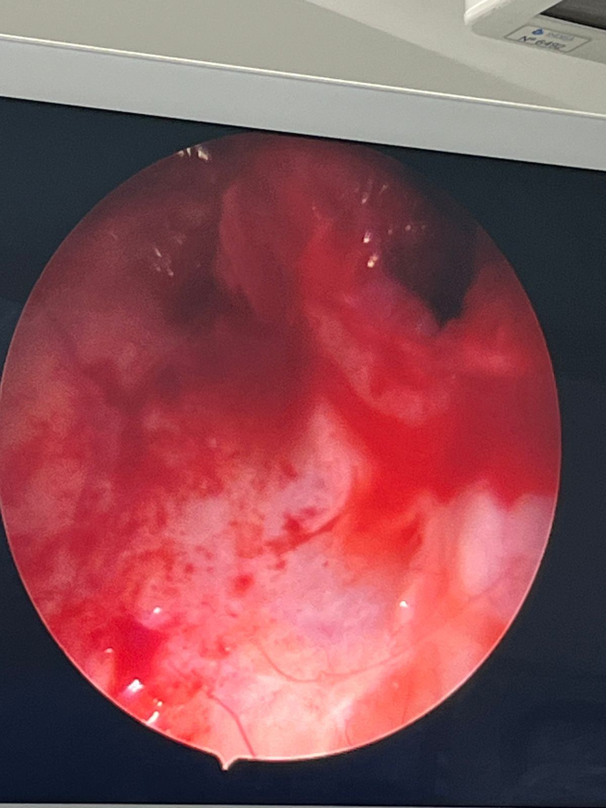 Claudia Patricia Arriagada Godoy-16