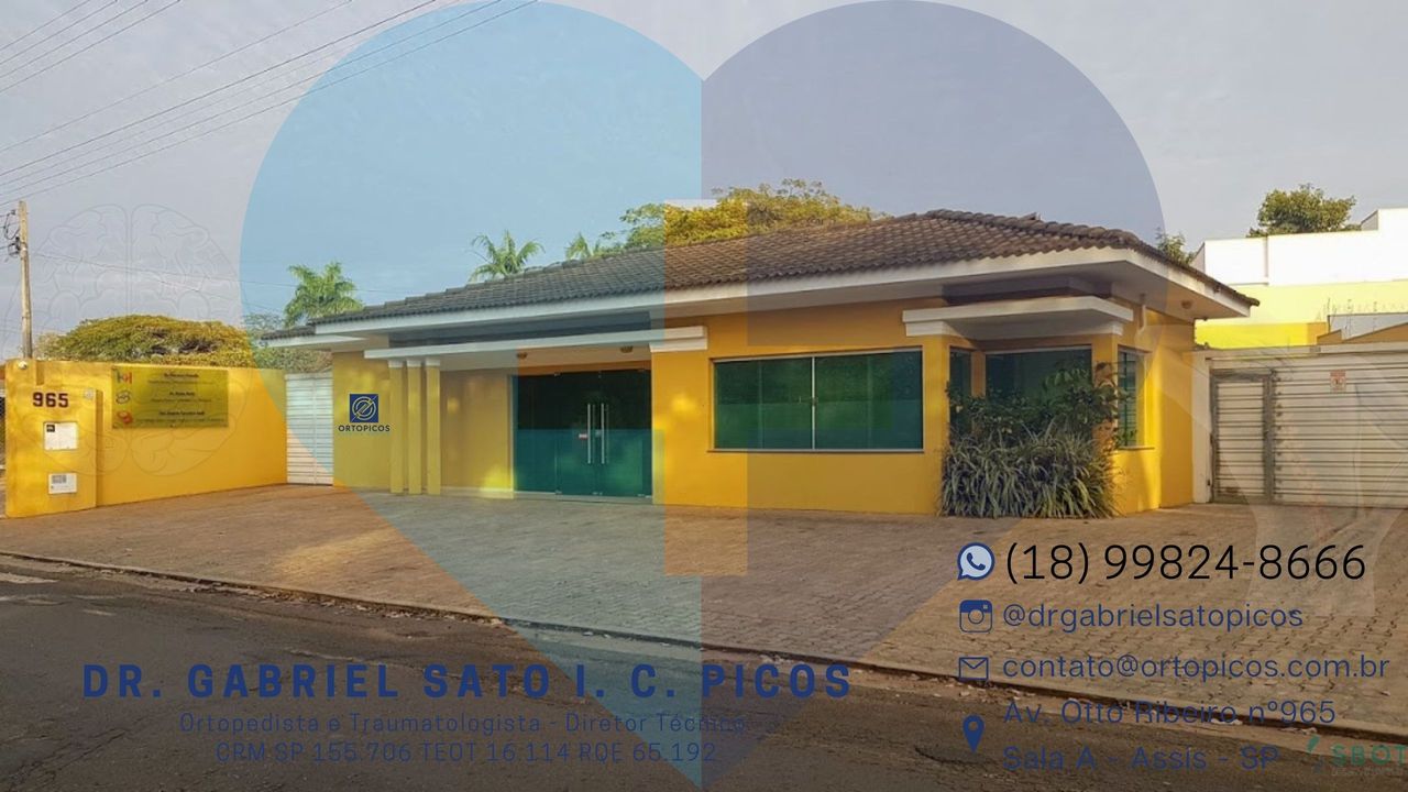 Gabriel Sato Ikuhara C. Picos-29