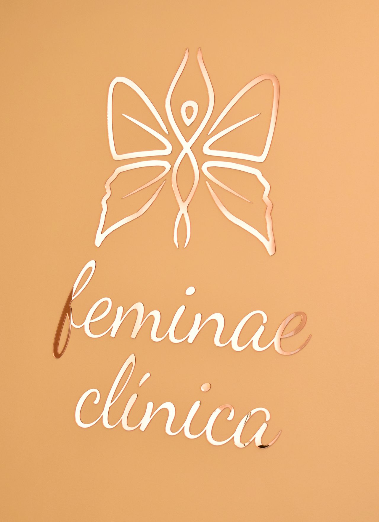 Laura Alejandra Matulevich Santana-1