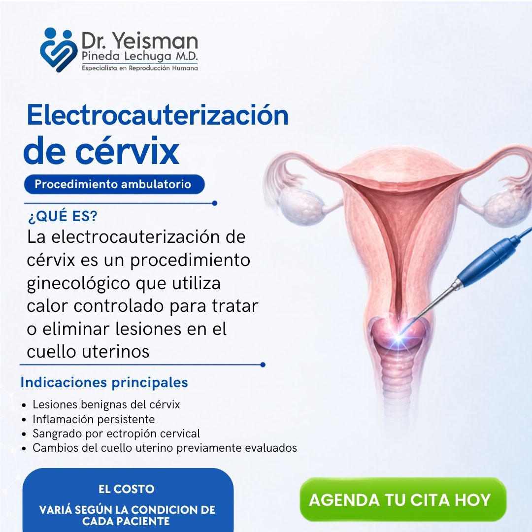 Yeisman Pineda Lechuga-14