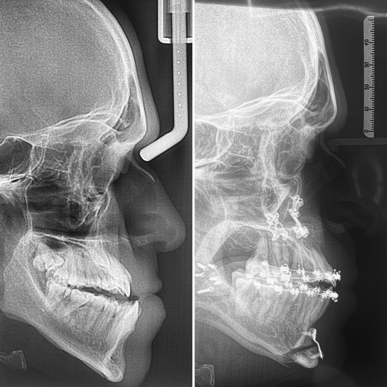 Jose Vicente Rocha Fernandez-19