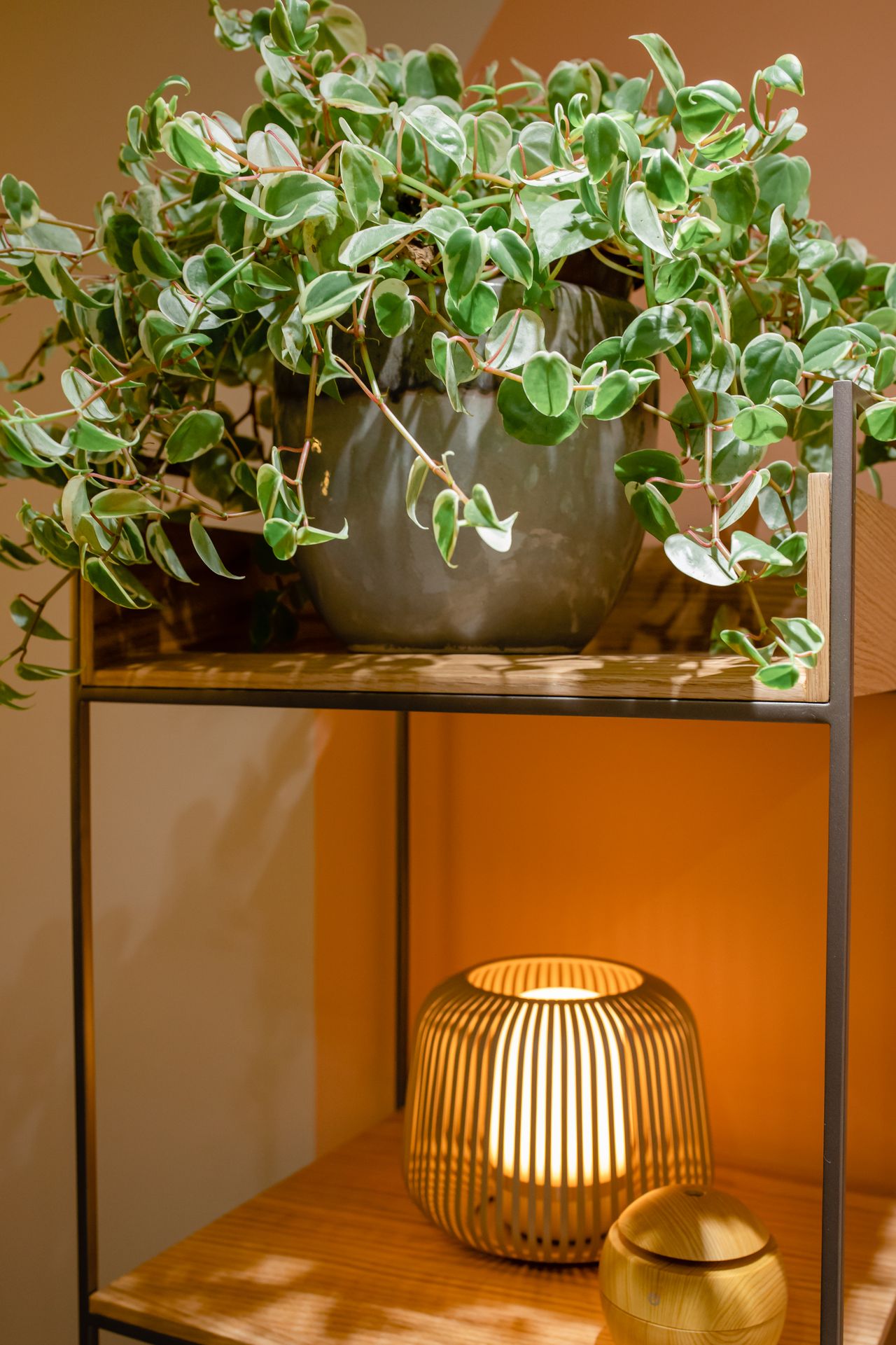 Jaqueline Nerys Freitas-6