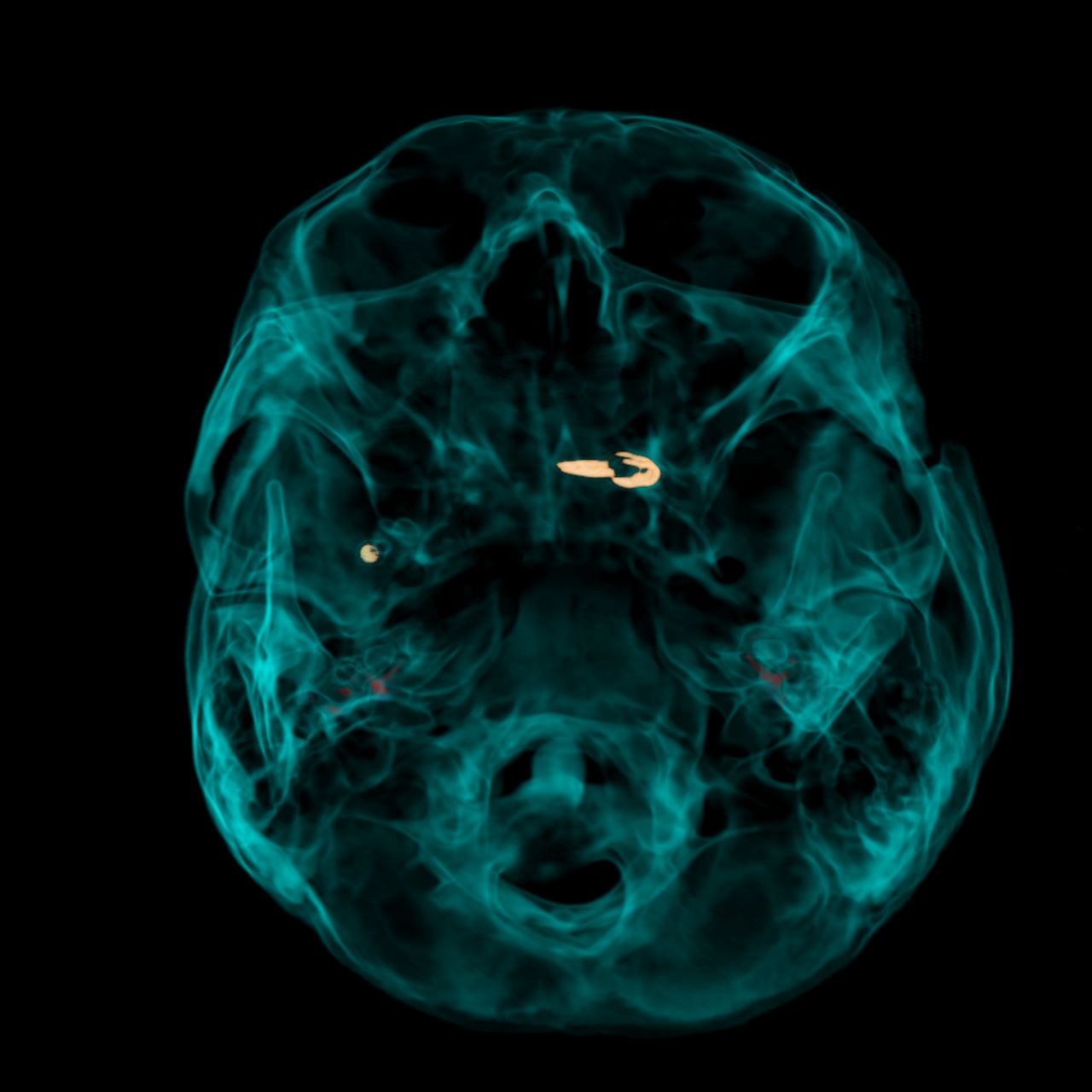 David Tafur Muñoz-1960