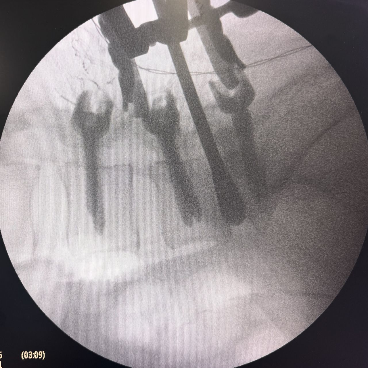 David Tafur Muñoz-2450