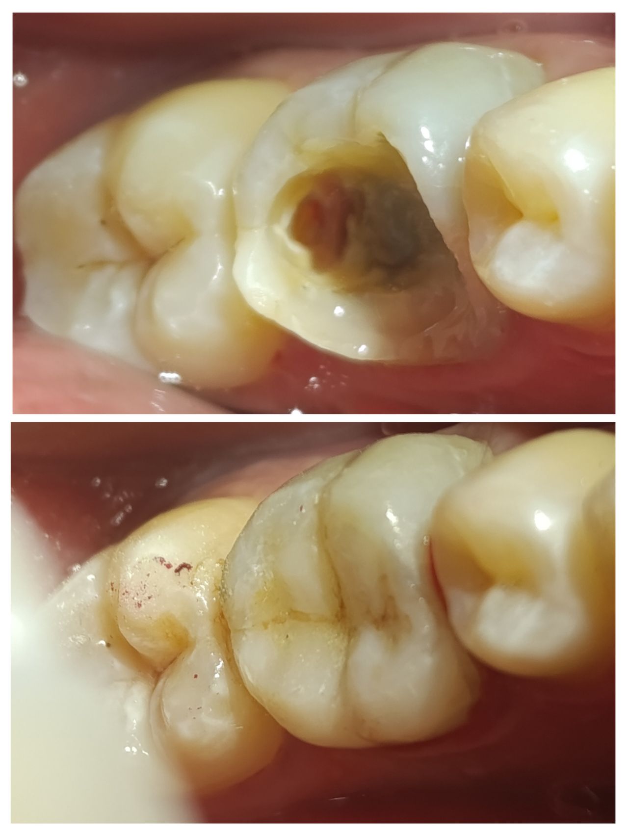 Alexandra García-14