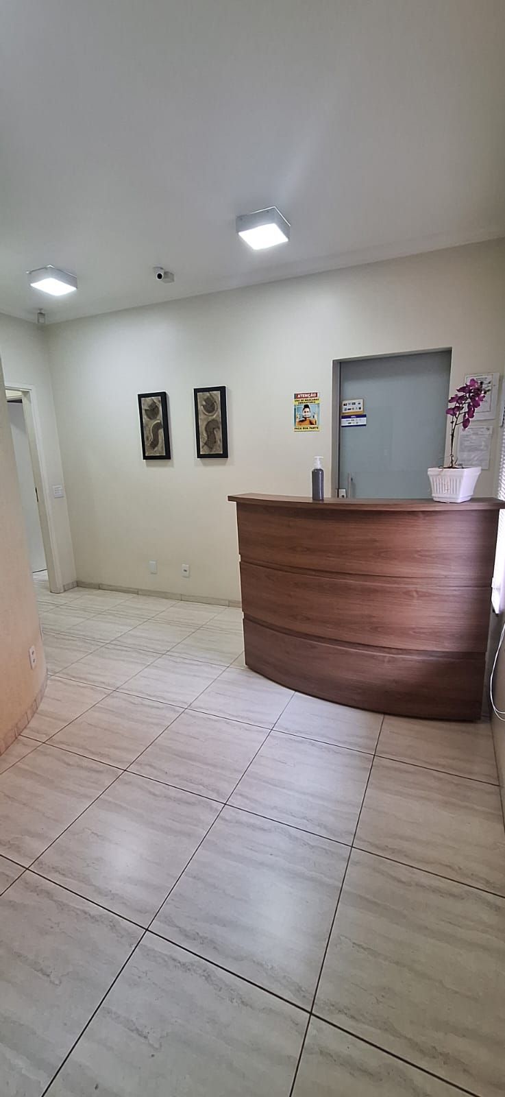 Daniele Moreno Passos-7