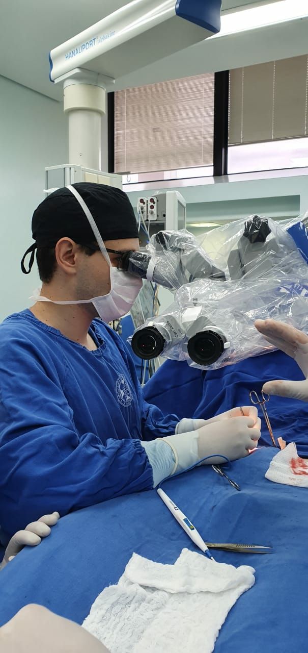 Hamilton Franco Filho-16