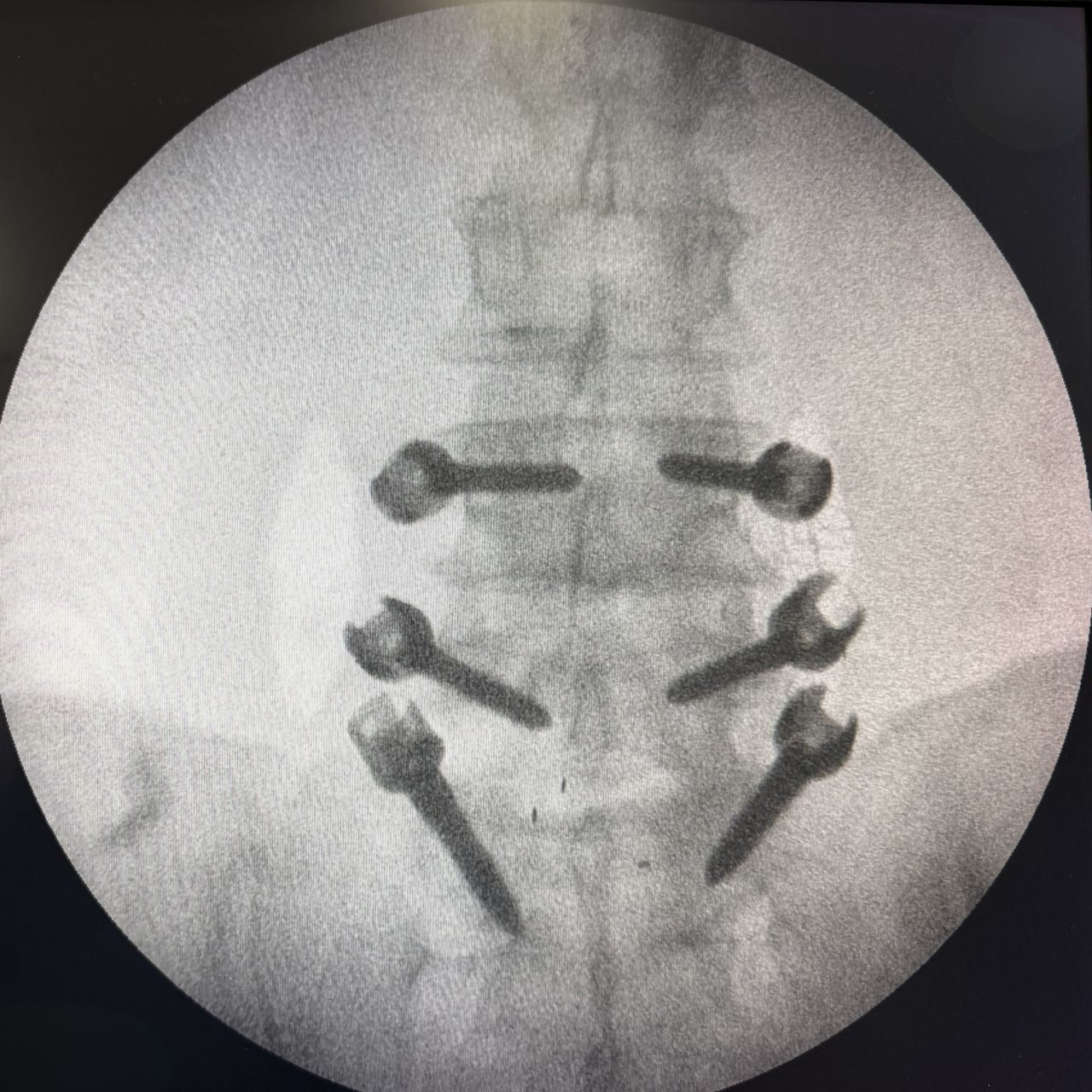 David Tafur Muñoz-2465