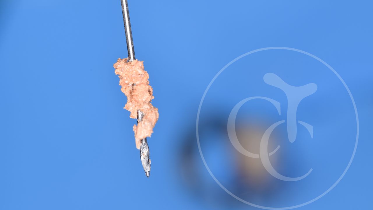 Cassia Cestari Toia-6