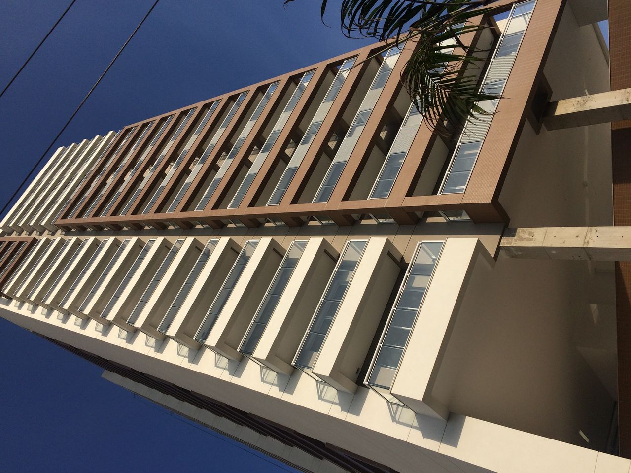 Breno De Amorim Barros-6