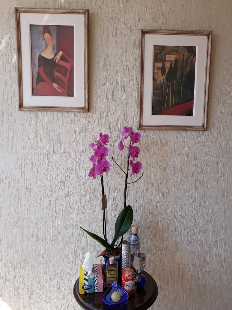 Conceição Selicani-0