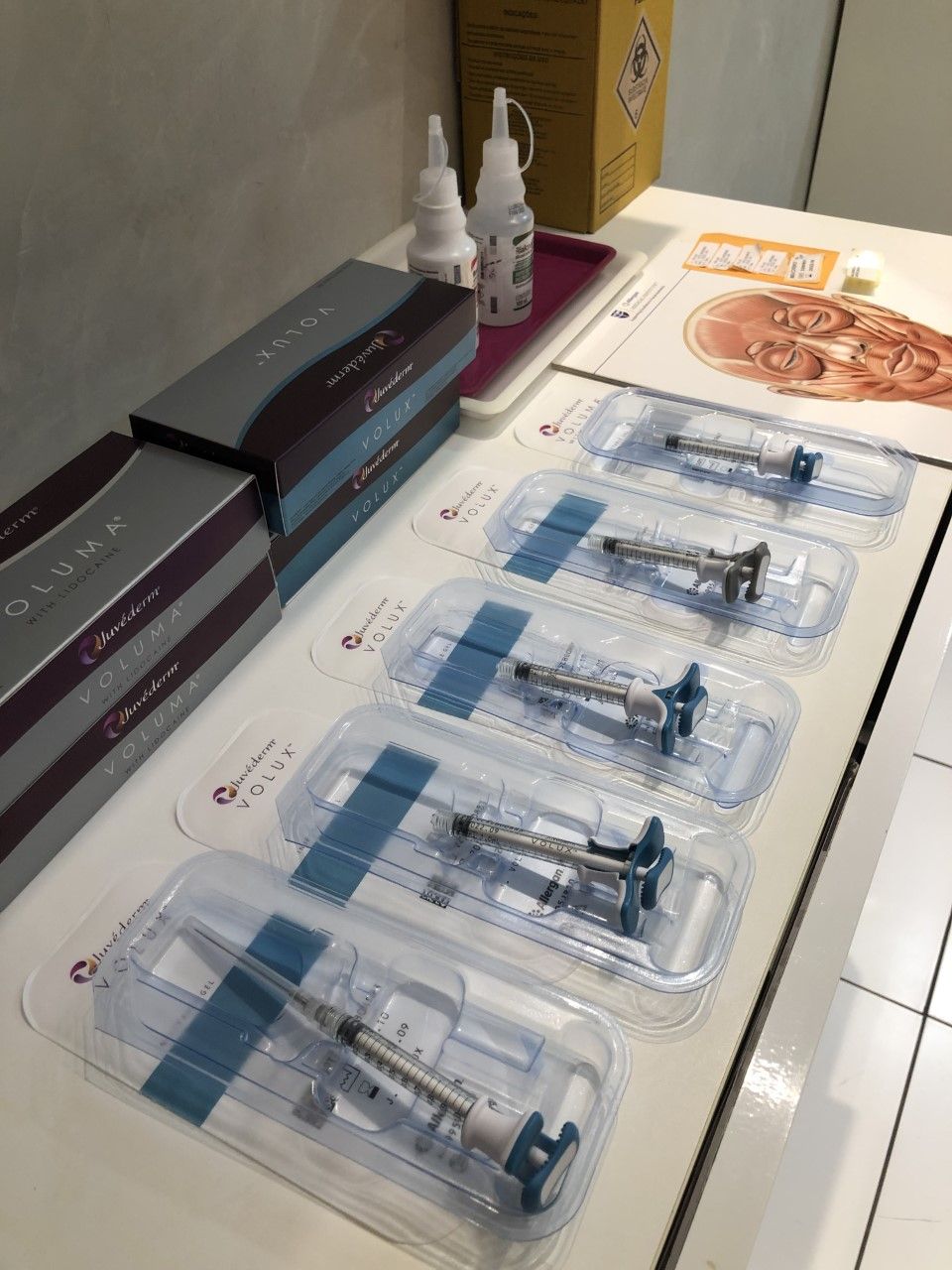 Palmira Rodrigues-11