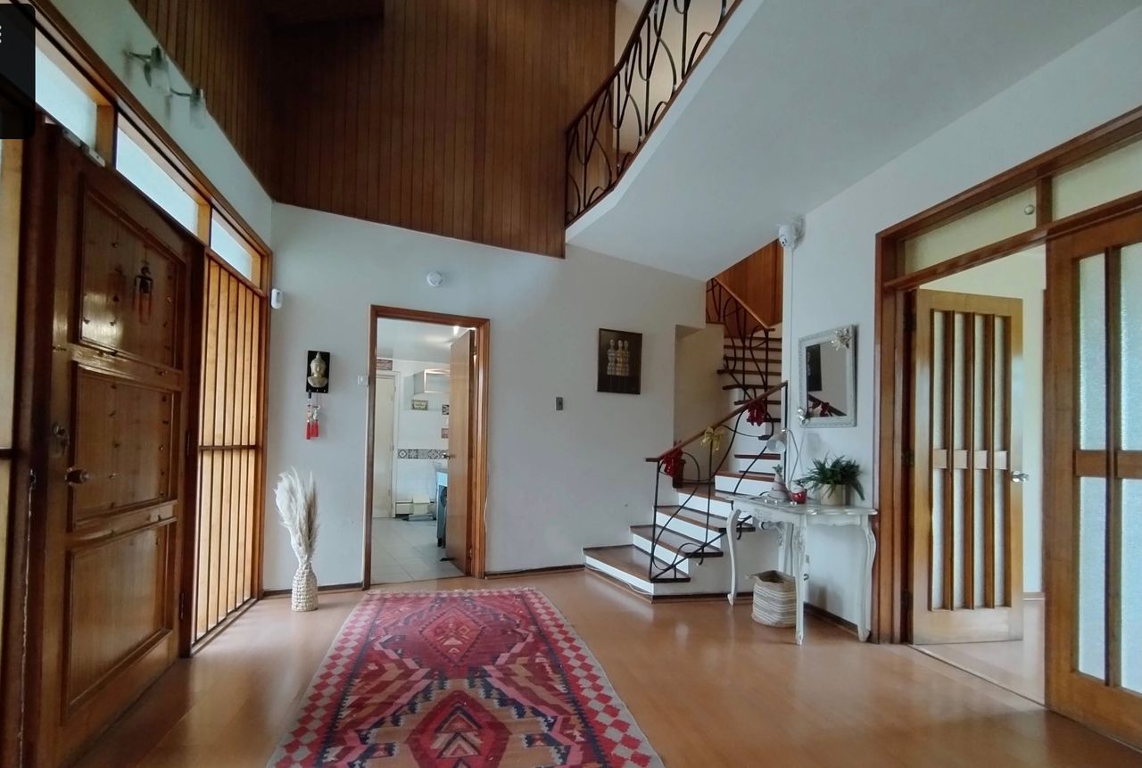 Dania Valverde Carrasco-1