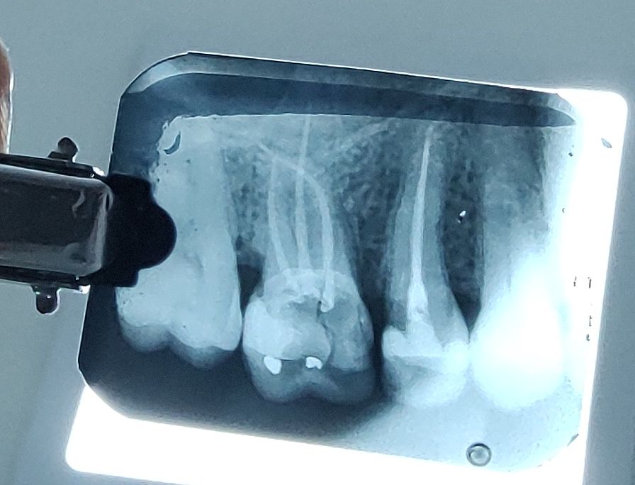  Máximo Joaquim  Calvo Villar Neto-6