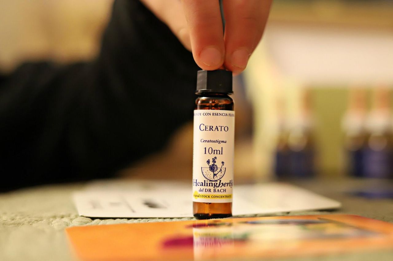 María Fernanda  Ibáñez Martínez -8